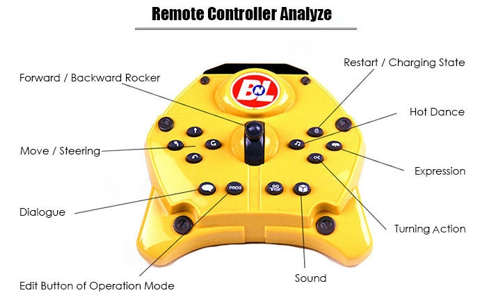 2.4G RC Programmable Robot